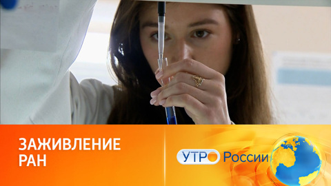 Лекарство из краба: новые биомедицинские разработки российских ученых