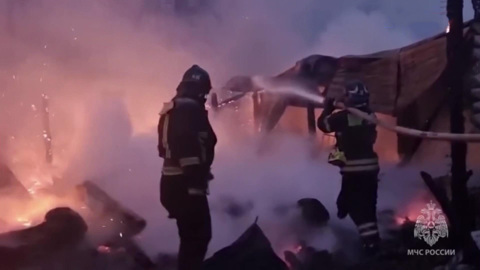 В конюшне Лосиного острова погибли лошади