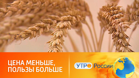 Из чего делают полезную для здоровья муку