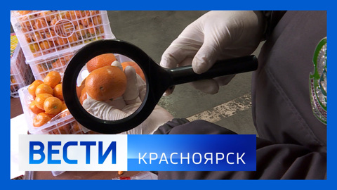 Эфир от 14.12.2023