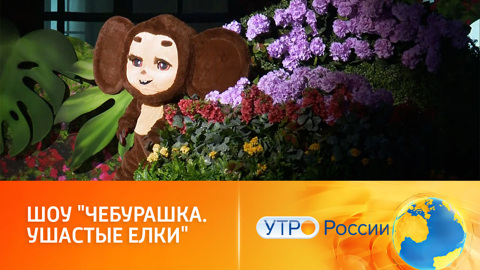 Шоу "Чебурашка. Ушастые елки" станет настоящим новогодним подарком