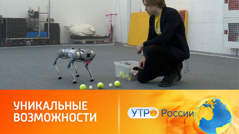 Ученые Сколтеха тестируют нового "робопса"