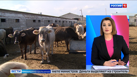 126 млн рублей выделено КБР на поддержку АПК