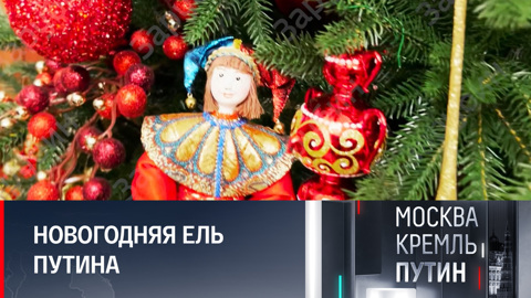 Президент России: командир уже решил