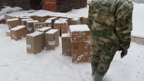 В Псковской области нашли склад нелегальных сигарет