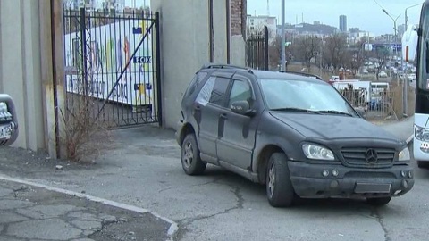 Пятерых щенков мужчина держал в запертой машине почти сутки