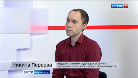 Какая погода ожидает хабаровчан в новогодние каникулы