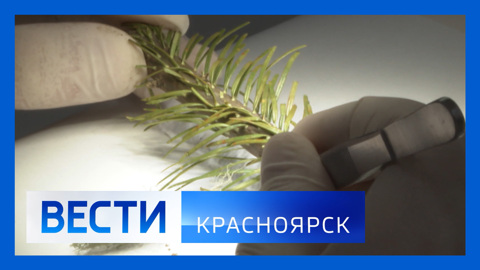Эфир от 27.12.2023
