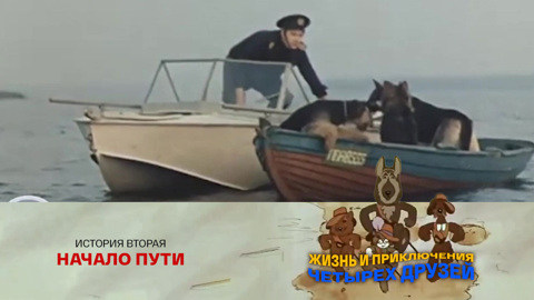 История вторая.  Начало пути