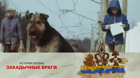 История первая. Закадычные враги