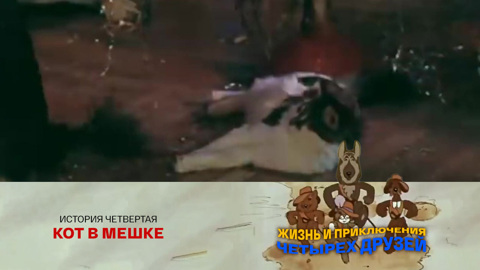 История четвертая. Кот в мешке