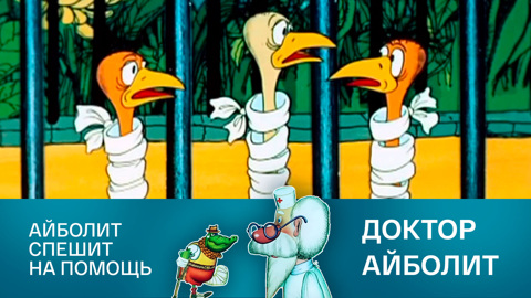 Айболит спешит на помощь