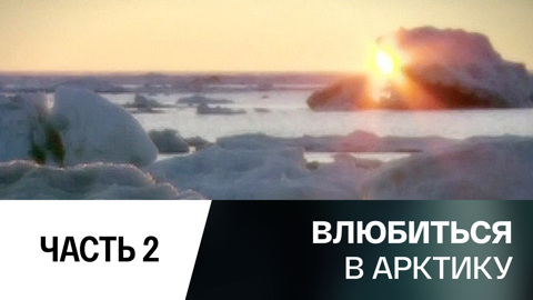 Арктика. Территория открытий