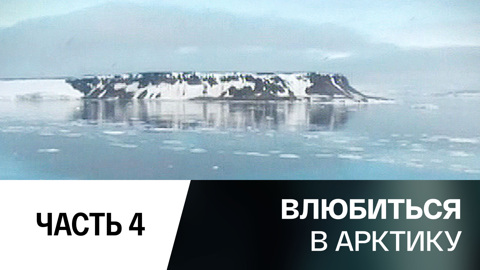 Арктика. Жизнь на краю земли