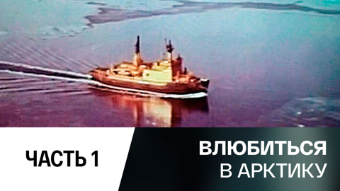 Покорители Арктики. Первые шаги