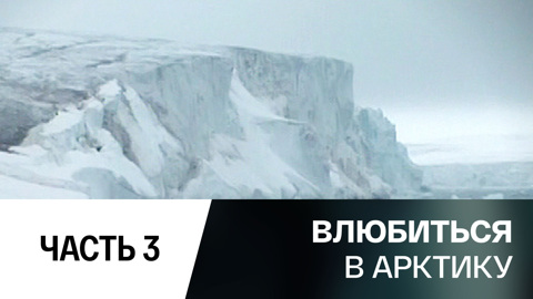 На льдине, как на бригантине