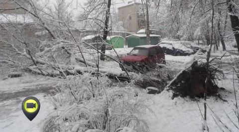 Эфир от 28.11.2013
