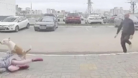 Масштабные учения в Калужской области и побег бойцового пса