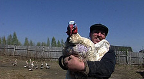 Куликово поле