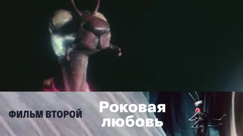 Фильм второй