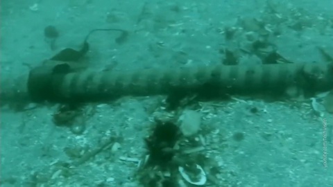 Кто повредил кабели на дне Красного моря