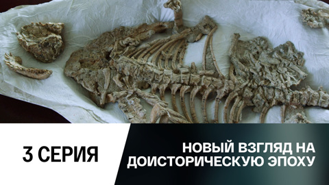Заря эры млекопитающих