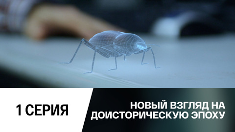 Почему вымерли гигантские насекомые?