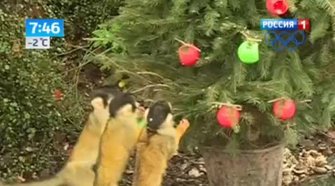 Эфир от 20.12.2013
