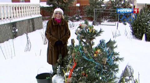 Эфир от 20.12.2013. 