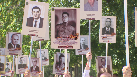 Шествие "Бессмертного батальона" прошло в Волгограде