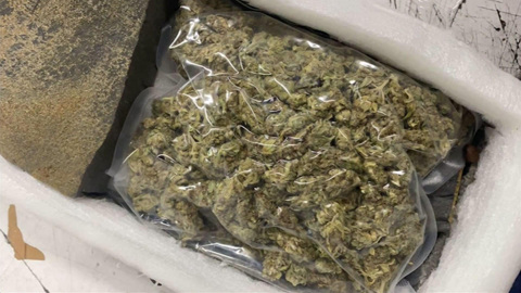 В посылке из Таиланда нашли набитые марихуаной боксерские лапы