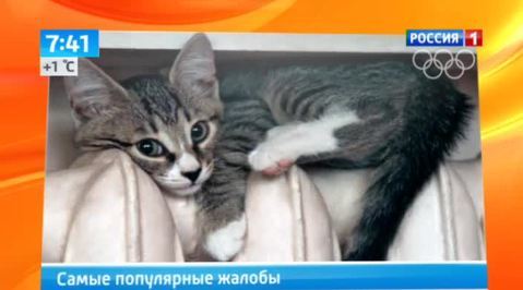Эфир от 25.12.2013