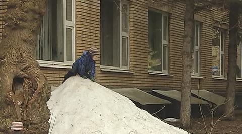 Москву и Петербург ждет Новый год без снега и мороза