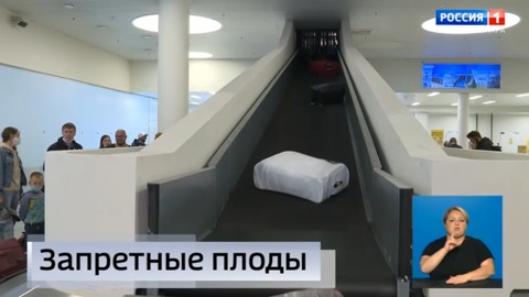 Эфир от 26.06.2024 (09:00)