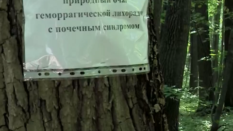 На территории Кумысной поляны решено провести внеочередные дератизационные мероприятия