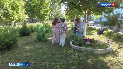 Новости коротко: нацпроект «Образование», крупная партия наркотиков и «Тамбов в цвету»