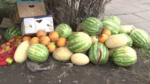 В Екатеринбурге у нелегальных торговцев фруктами изъяли всю продукцию, которой они торговали прямо на улице