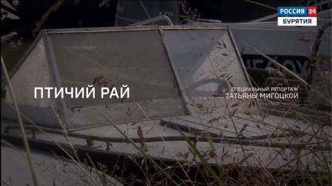 Птичий рай