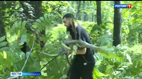 Дружно принялись за работу.