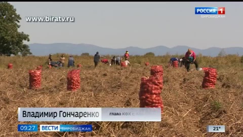 Сегодня в эфире "Радио России Биробиджан" (22 Августа )