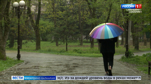 В предстоящие трое суток по КБР местами ожидаются сильные осадки