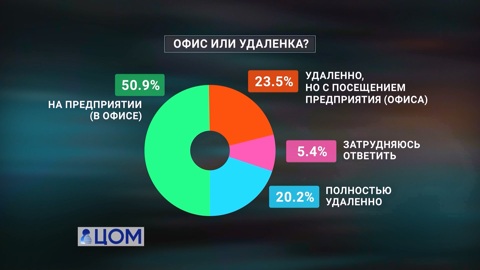 Удаленка или офис: как обстоят дела на рынке труда в Челябинской области