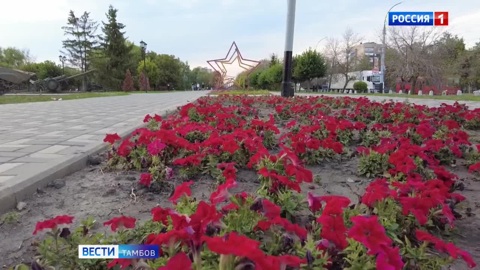 Прогноз погоды на последние дни лета в Тамбове