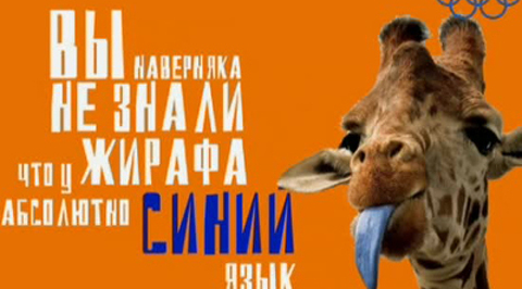 Эти непростые животные