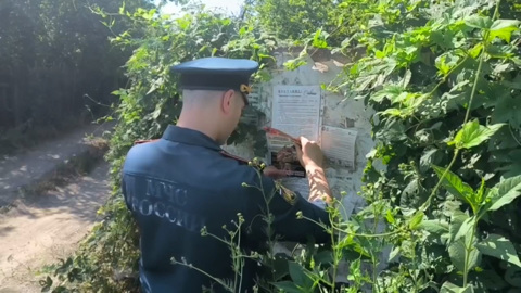 Итоги лета 2024. Выпуск 26.08.2024