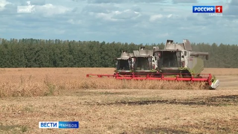 В Тамбовской области начали уборку сои