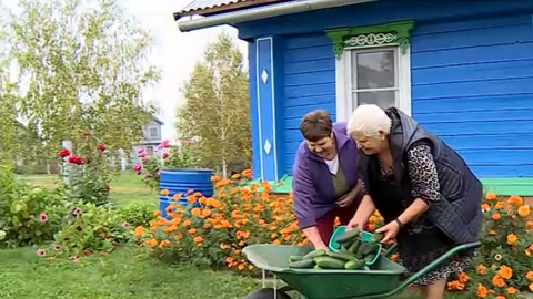 Эфир от 22.09.2024 (14:30)