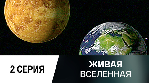 Земля и Венера. Соседки