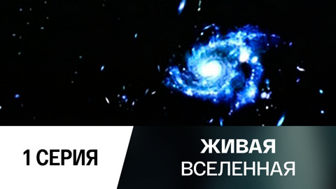 Поиски жизни