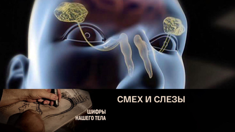 Смех и слезы